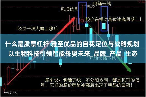 什么是股票杠杆 雅至优品的自我定位与战略规划 以生物科技引领智能母婴未来_品牌_产品_生态