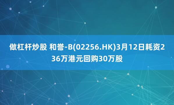 做杠杆炒股 和誉-B(02256.HK)3月12日耗资236万港元回购30万股