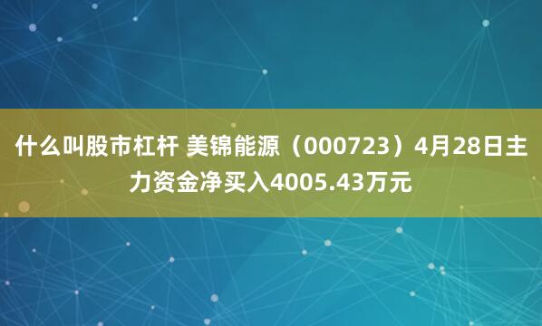 什么叫股市杠杆 美锦能源（000723）4月28日主力资金净买入4005.43万元