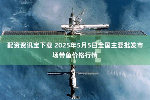 配资资讯宝下载 2025年5月5日全国主要批发市场带鱼价格行情