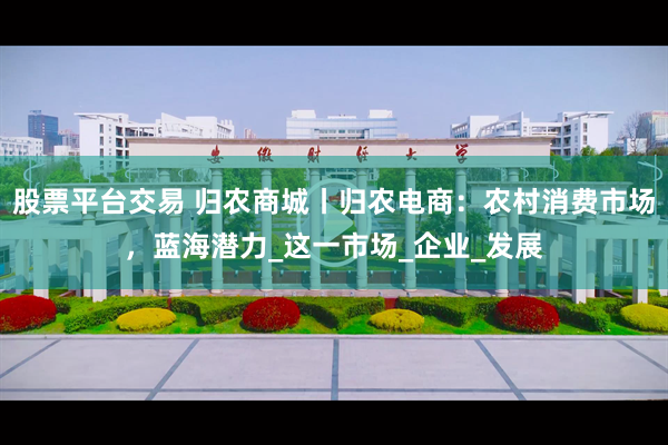 股票平台交易 归农商城丨归农电商：农村消费市场，蓝海潜力_这一市场_企业_发展