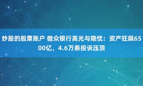 炒股的股票账户 微众银行高光与隐忧：资产狂飙6500亿，4.6万条投诉压顶