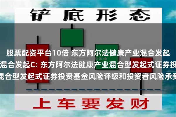 股票配资平台10倍 东方阿尔法健康产业混合发起A,东方阿尔法健康产业混合发起C: 东方阿尔法健康产业混合型发起式证券投资基金风险评级和投资者风险承受能力说明