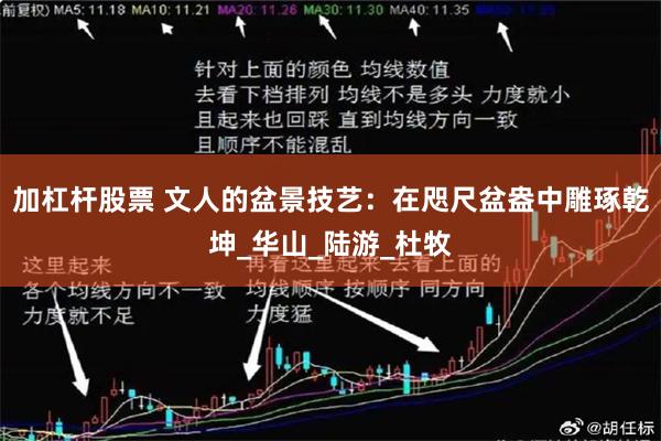 加杠杆股票 文人的盆景技艺：在咫尺盆盎中雕琢乾坤_华山_陆游_杜牧