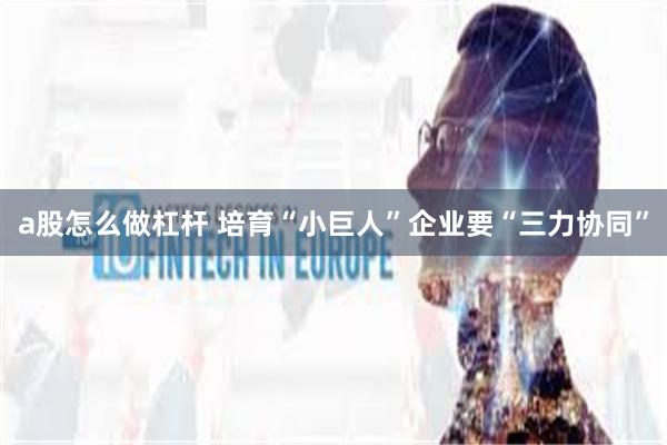 a股怎么做杠杆 培育“小巨人”企业要“三力协同”