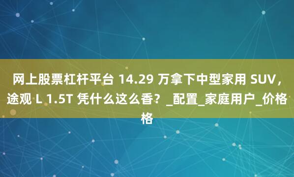 网上股票杠杆平台 14.29 万拿下中型家用 SUV，途观 L 1.5T 凭什么这么香？_配置_家庭用户_价格
