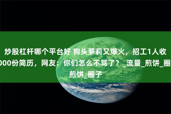 炒股杠杆哪个平台好 狗头萝莉又爆火，招工1人收2000份简历，网友：你们怎么不骂了？_流量_煎饼_圈子