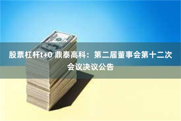 股票杠杆t+0 鼎泰高科：第二届董事会第十二次会议决议公告