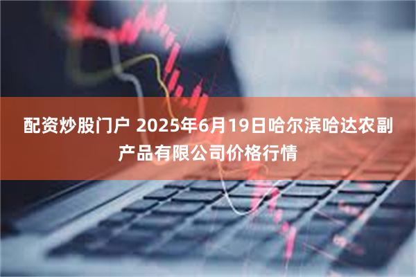 配资炒股门户 2025年6月19日哈尔滨哈达农副产品有限公司价格行情