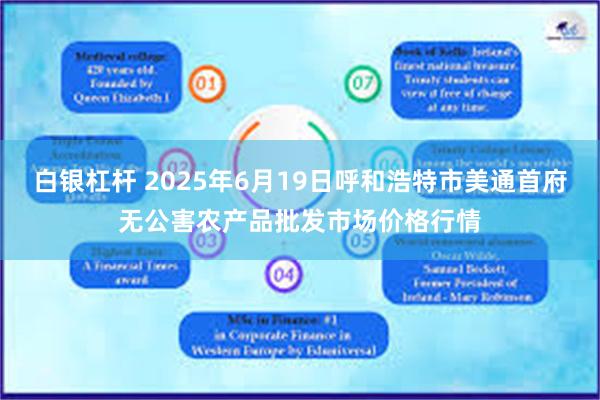 白银杠杆 2025年6月19日呼和浩特市美通首府无公害农产品批发市场价格行情