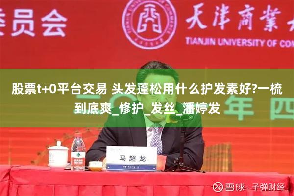 股票t+0平台交易 头发蓬松用什么护发素好?一梳到底爽_修护_发丝_潘婷发
