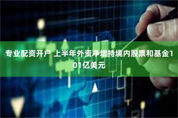 专业配资开户 上半年外资净增持境内股票和基金101亿美元