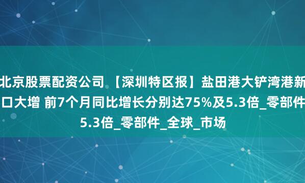 北京股票配资公司 【深圳特区报】盐田港大铲湾港新能源汽车出口大增 前7个月同比增长分别达75%及5.3倍_零部件_全球_市场